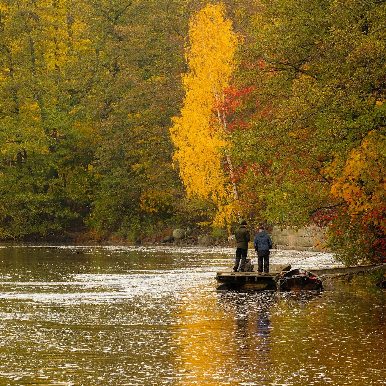 Angler in bivvy at dusk with rod pod and bite alarms visible